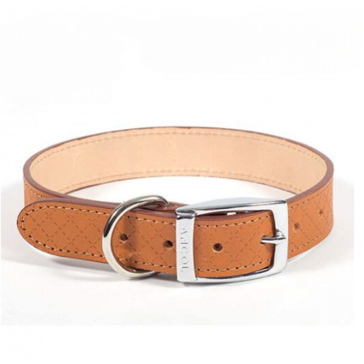 tan leather ancol dog collar