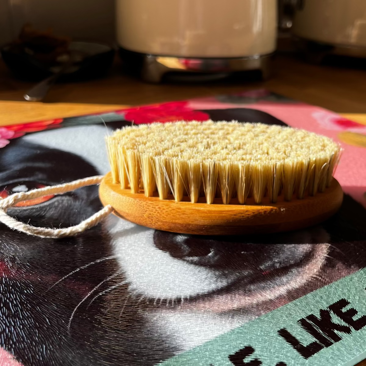 Sisal brush on a magazine with a pug design and text 'Fragile. Like a bone' in a kitchen setting.