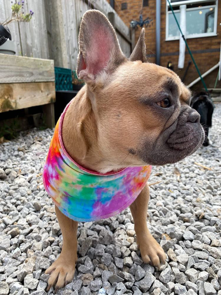 Sew Fetching Cooling Tie Dye 90's Style Hand Made Dog Bandana