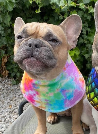 Sew Fetching Cooling Tie Dye 90's Style Hand Made Dog Bandana