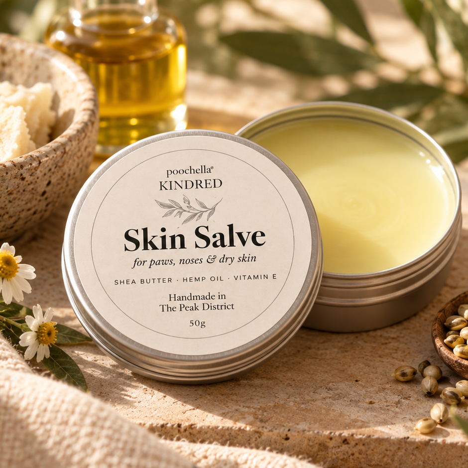 An open round tin of poochella Kindred Skin Salve sits on a stone surface beside a bowl of white balm, a small bottle of golden oil, and a wooden spoon with seeds, styled with olive leaves and daisies.