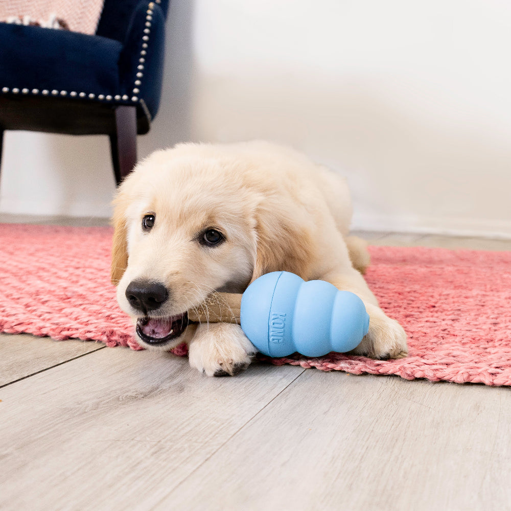 KONG Ziggies Plant Based Puppy Treats Small - Poochella®
