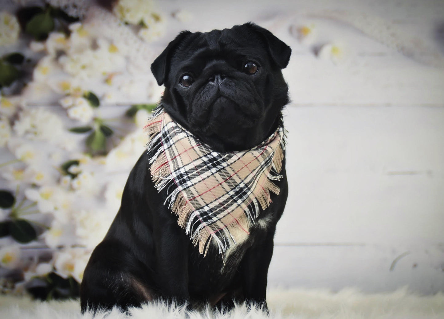 Pet Pooch Boutique 'Scamps' Frayed Tartan Pet Dog Bandana Red/Tan