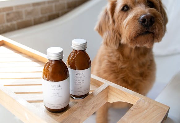 Wild For Dogs: The Organic Grooming Duo 2 x 150ml