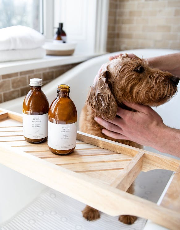 Wild For Dogs: So Fresh So Clean Organic Dog Shampoo