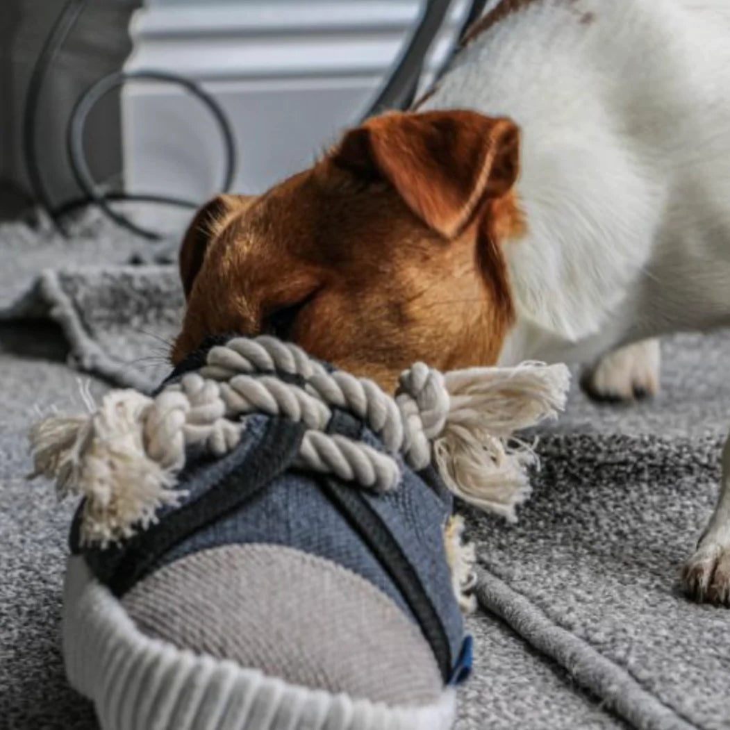 Ancol Recycled Plush Ropey Trainer Shoe Dog Toy Large