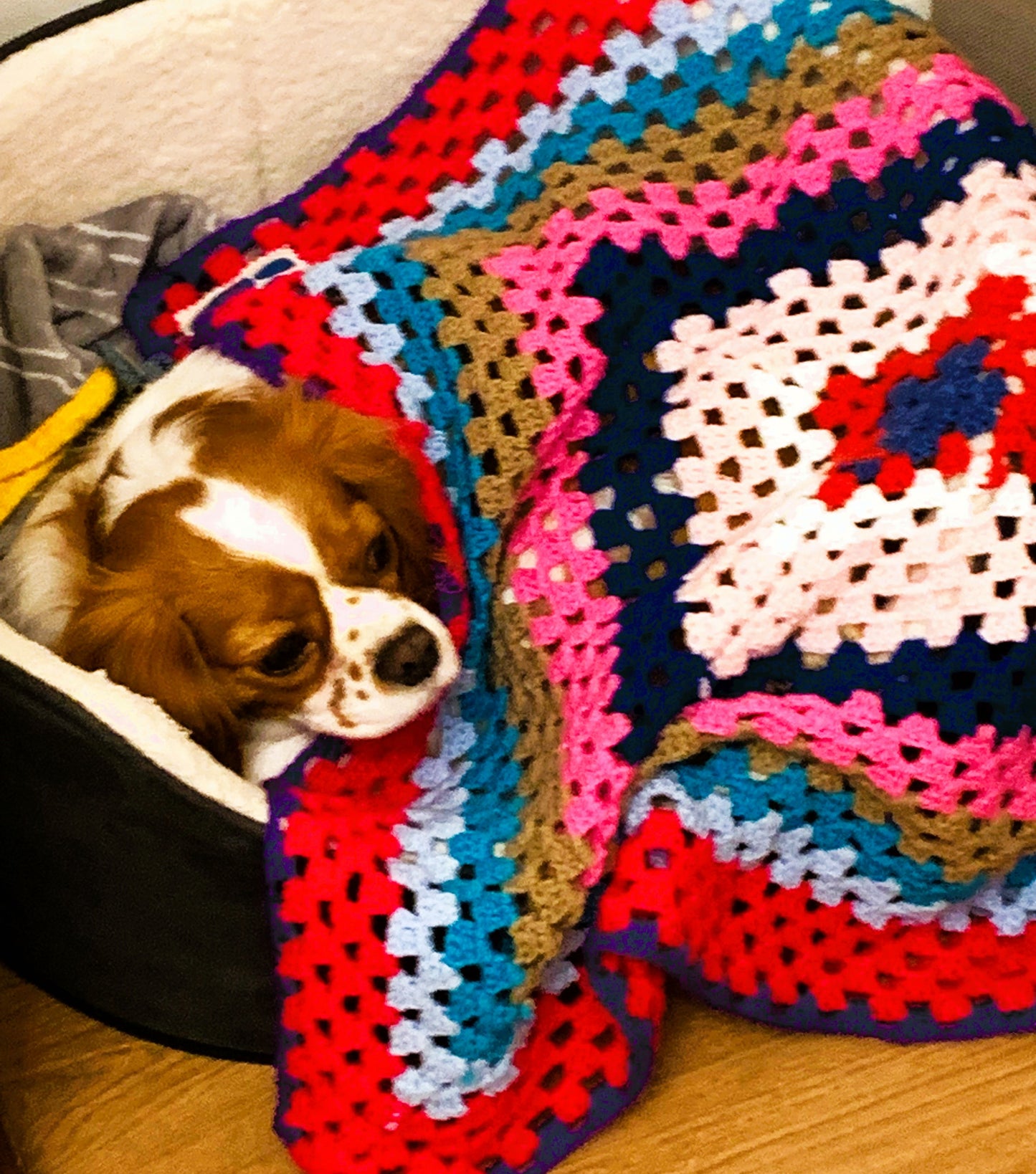 Hand-Made Charity Crochet Puppy Blanket by Tŷ Hafan