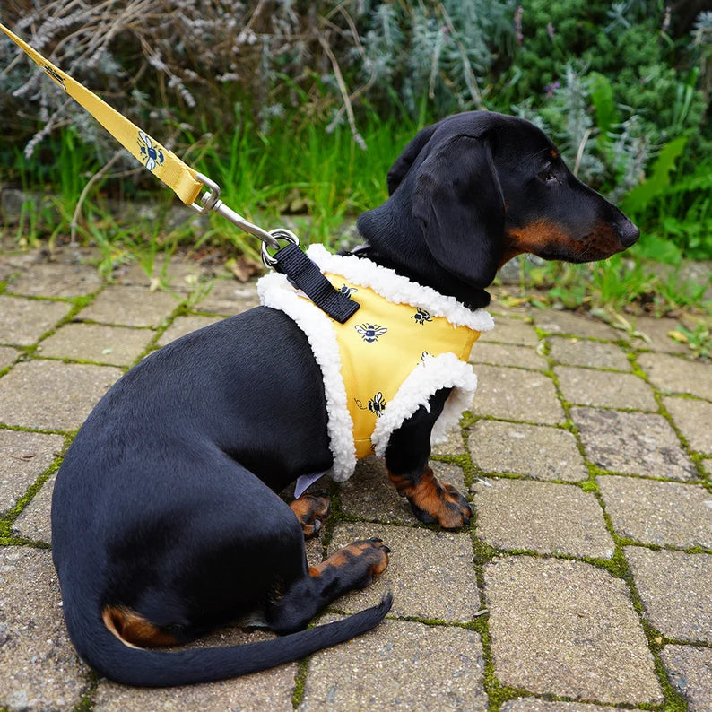Cath Kidston® Yellow Bees Soft Pet Dog Harness