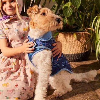 Cath Kidston® Greenwich Flowers Reversible Puffer Dog Coat – Blue Floral Dog Jacket | Warm Dog Coat UK