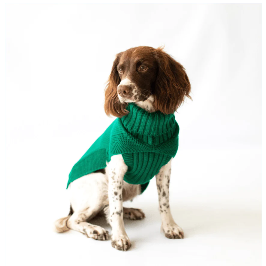 Canine & Co Dog Outfitters Jazz Cable Knit Jumper in Green