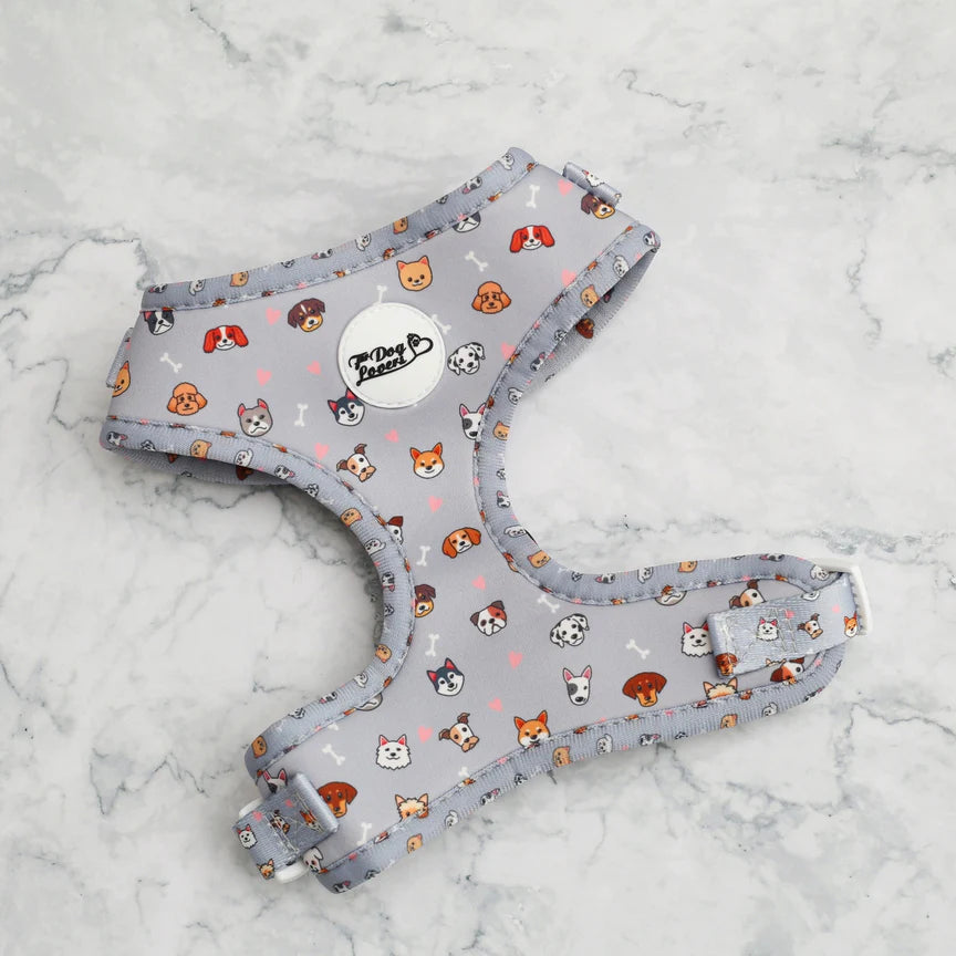 For Dog Lovers 'Oh My Pup' Harness & Lead Set