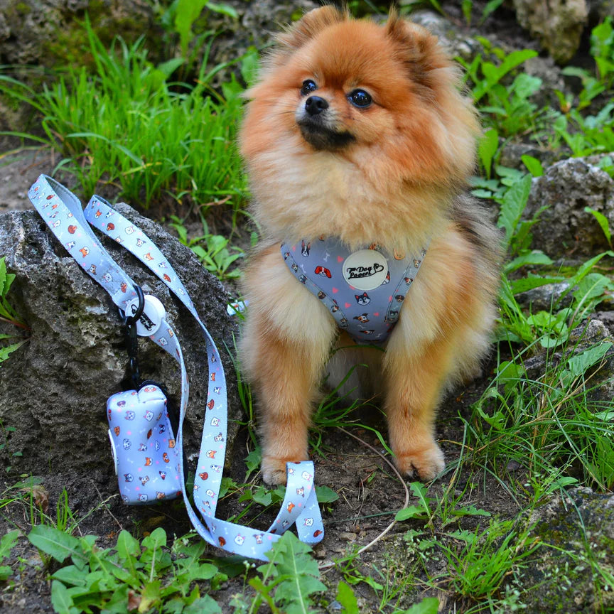 For Dog Lovers 'Oh My Pup' Harness & Lead Set