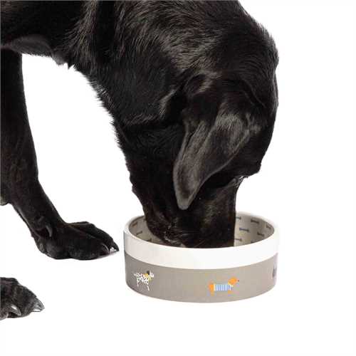 FatFace Marching Dogs Ceramic Dog Bowl – Large Non-Slip Dog Bowl | Stylish Dog Feeding Bowl UK
