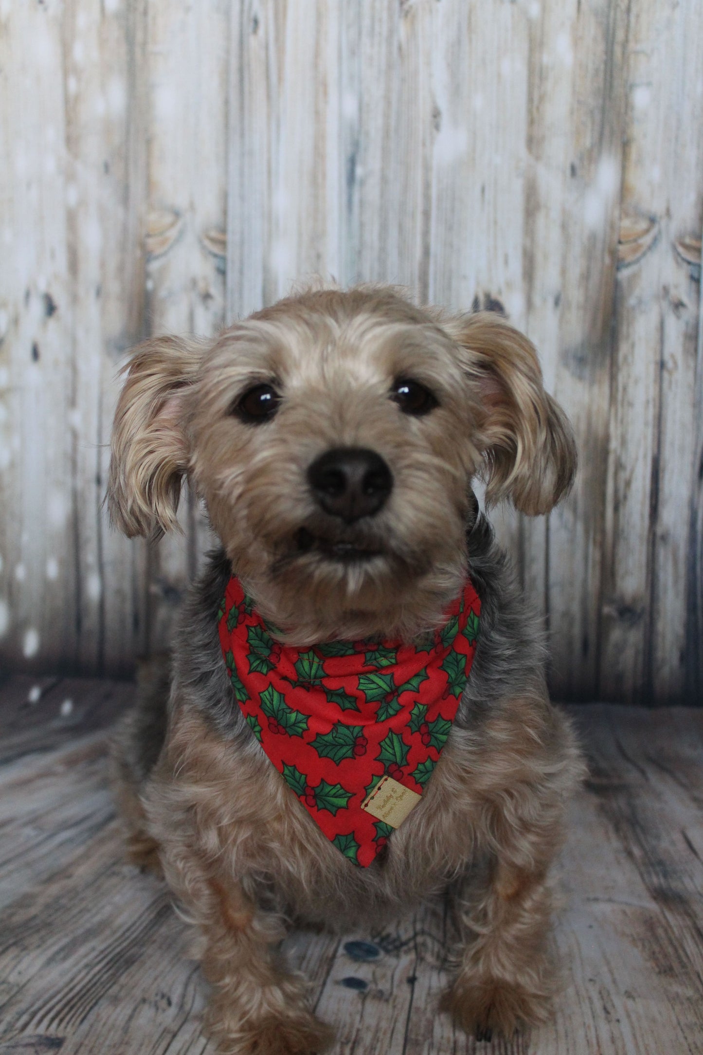 Teddy & Nico Christmas Pet Dog Bandana Red/Navy/White