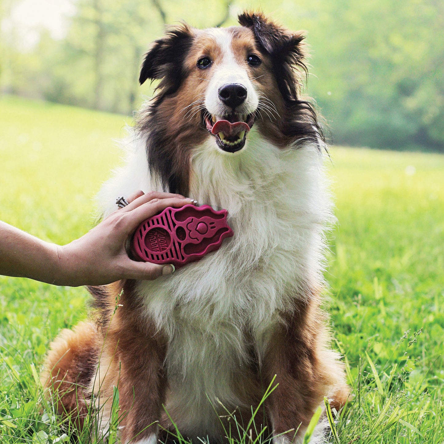 KONG ZoomGroom™ Dog Massage Shampoo Brush
