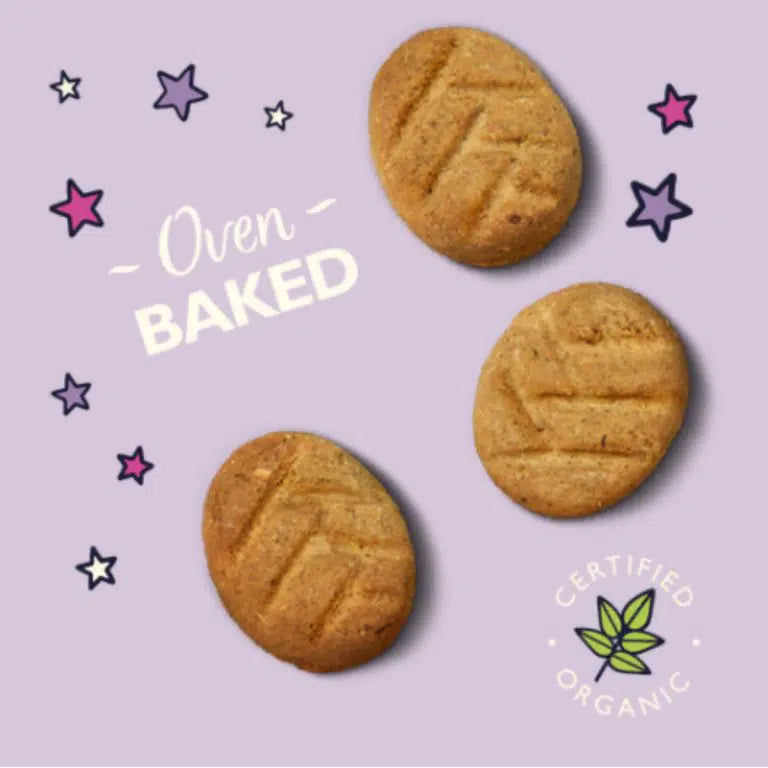 Lily's Kitchen Organic Bed Time Biscuit Dog Treats 80g