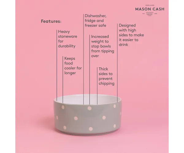 Mason Cash Stoneware Polka Dot Pet Dog Bowl in Sage Green