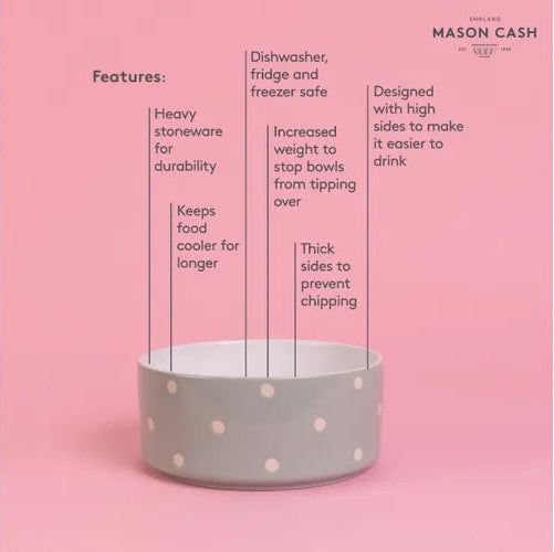 Mason Cash product with features listed on a pink background