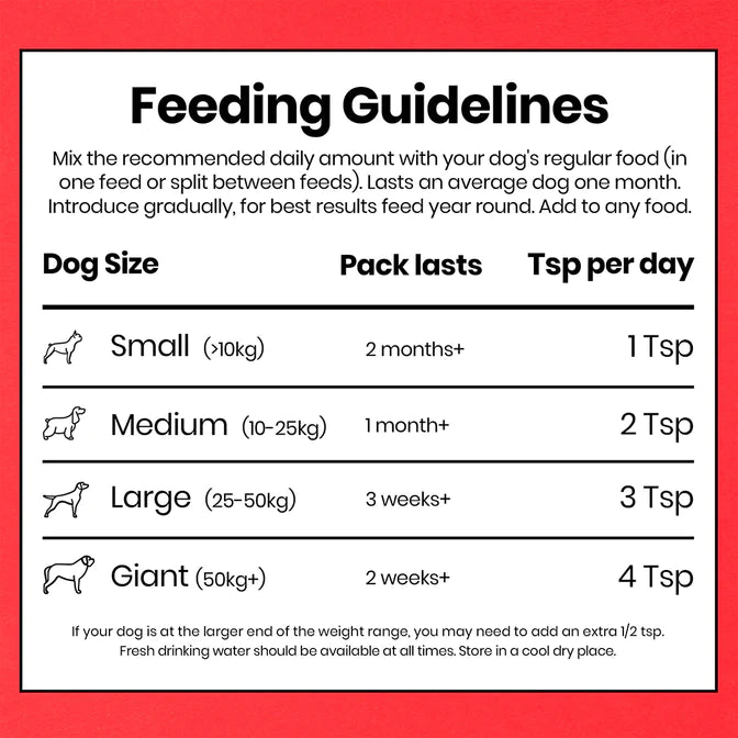 Pooch & Mutt Bionic Biotic Dog Supplement for Skin Coat & Digestion 200g