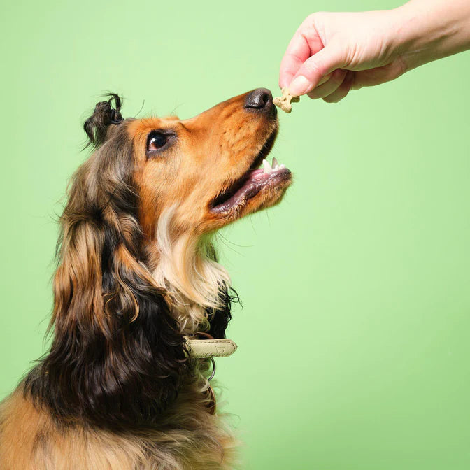 Pooch & Mutt Fresh Breath Natural Mini-Bone Treats 125g
