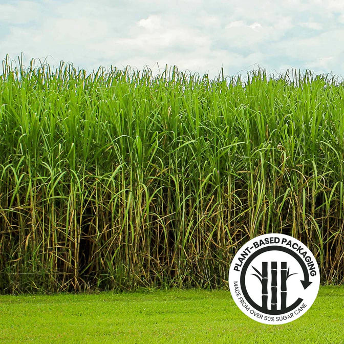 Pooch & Mutt Mobile Bones Joint Comfort & Health Supplement 200g