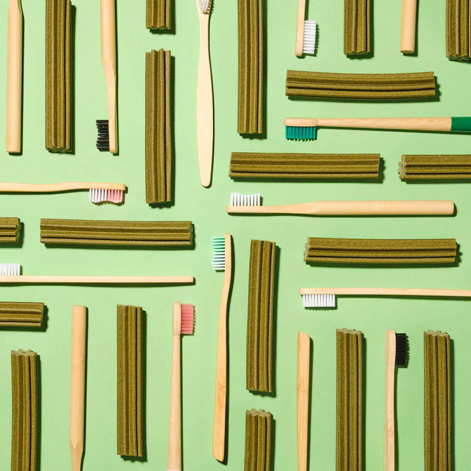 Pooch & Mutt Superfood Spirulina & Mint Dental Sticks for Dogs