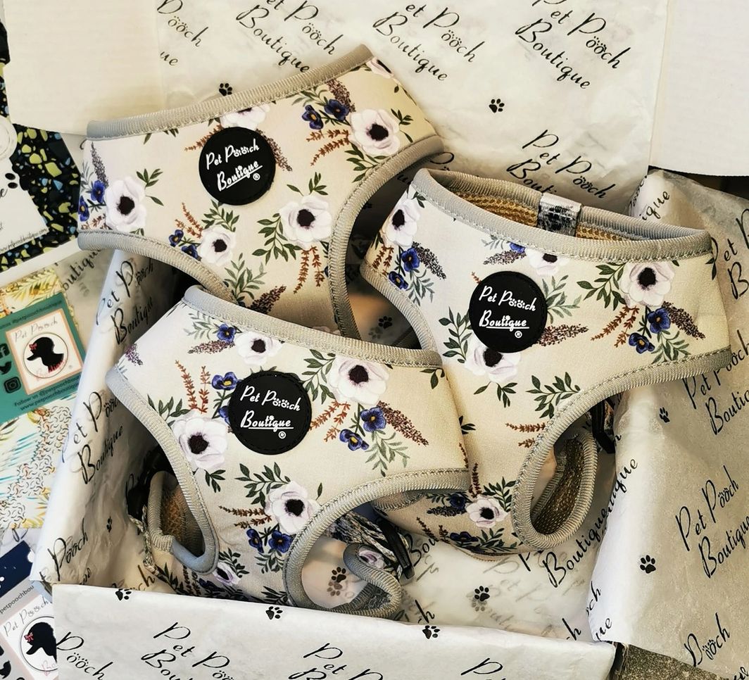Pet Pooch Boutique Floral Meadow Pet Dog Harness & Lead Set