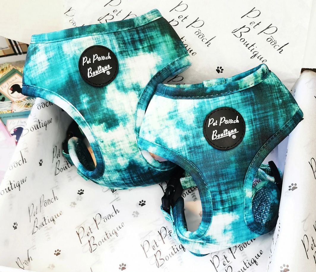 Pet Pooch Boutique Teal Tornado Pet Dog Harness & Lead Set