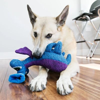 KONG® Woozles Large Dog Toy