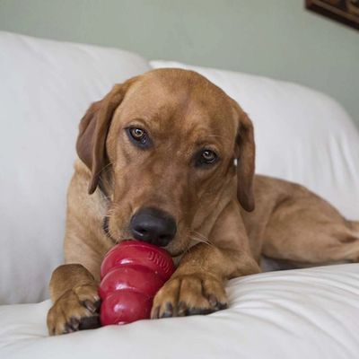 KONG Snacks™ Bacon & Cheese