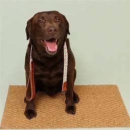 Cath Kidston® Provence Rose Soft Touch Cotton & Leather Pet Dog Lead