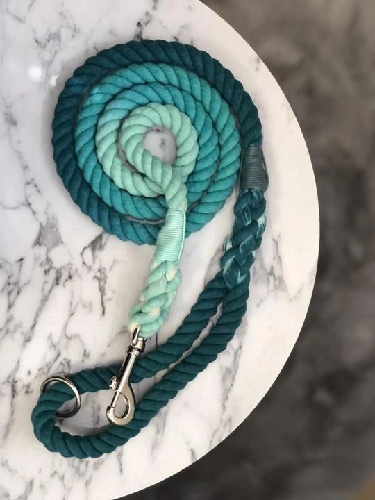 The Crafty Dog Company Rope Lead in Can't Stop the Tealin'