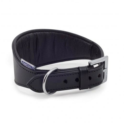 Black padded leather hound dog collar with a buckle closure and extra padding, designed for Whippet or Greyhound dogs.