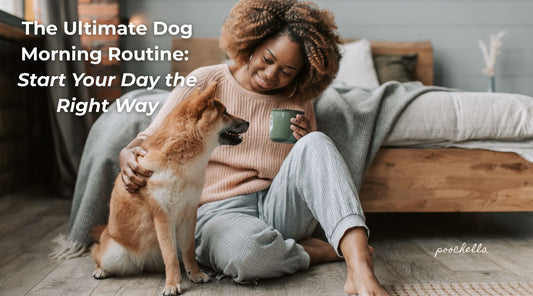 woman sitting on floor with cup of tea and stroking her dog