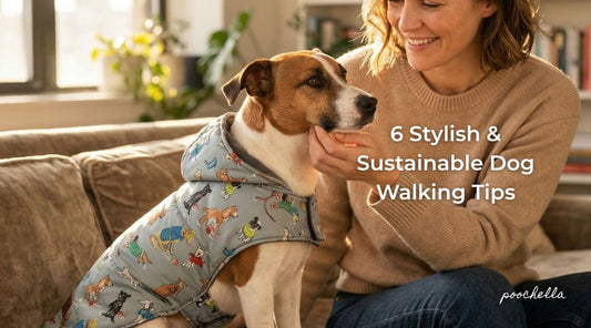 6 Ways to Make Your Daily Dog Walk More Comfortable, Sustainable & Stylish - Poochella®