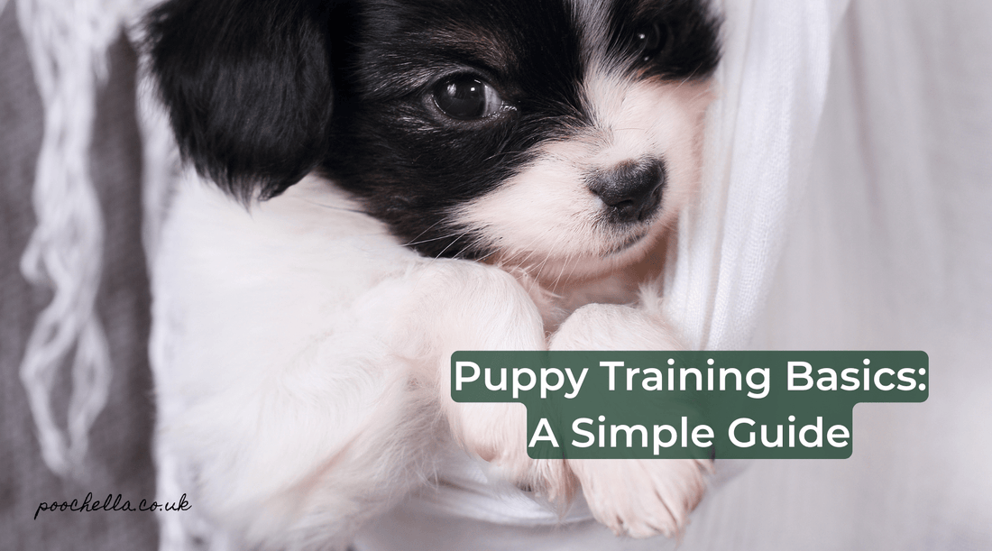 Puppy Training Guide: How to Train Your Puppy the Right Way - Poochella®
