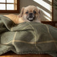 Arlo Forest Green Reversible Lambswool Sherpa Handmade Dog Blanket | The Artisan Dog Company