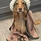 Dog wrapped in a towel with a hood on a wooden floor.