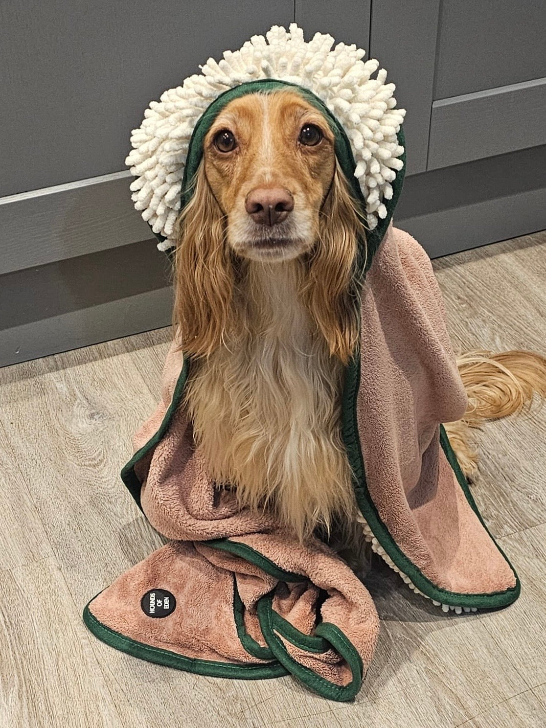 Dog wrapped in a towel with a hood on a wooden floor.