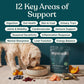 A dog eats from a bowl next to a stand-up pouch of superwild dog food on a stone surface, with fruits, vegetables, and blueberries around it. Large text at the top reads '12 Key Areas of Support' with a list of pet health areas