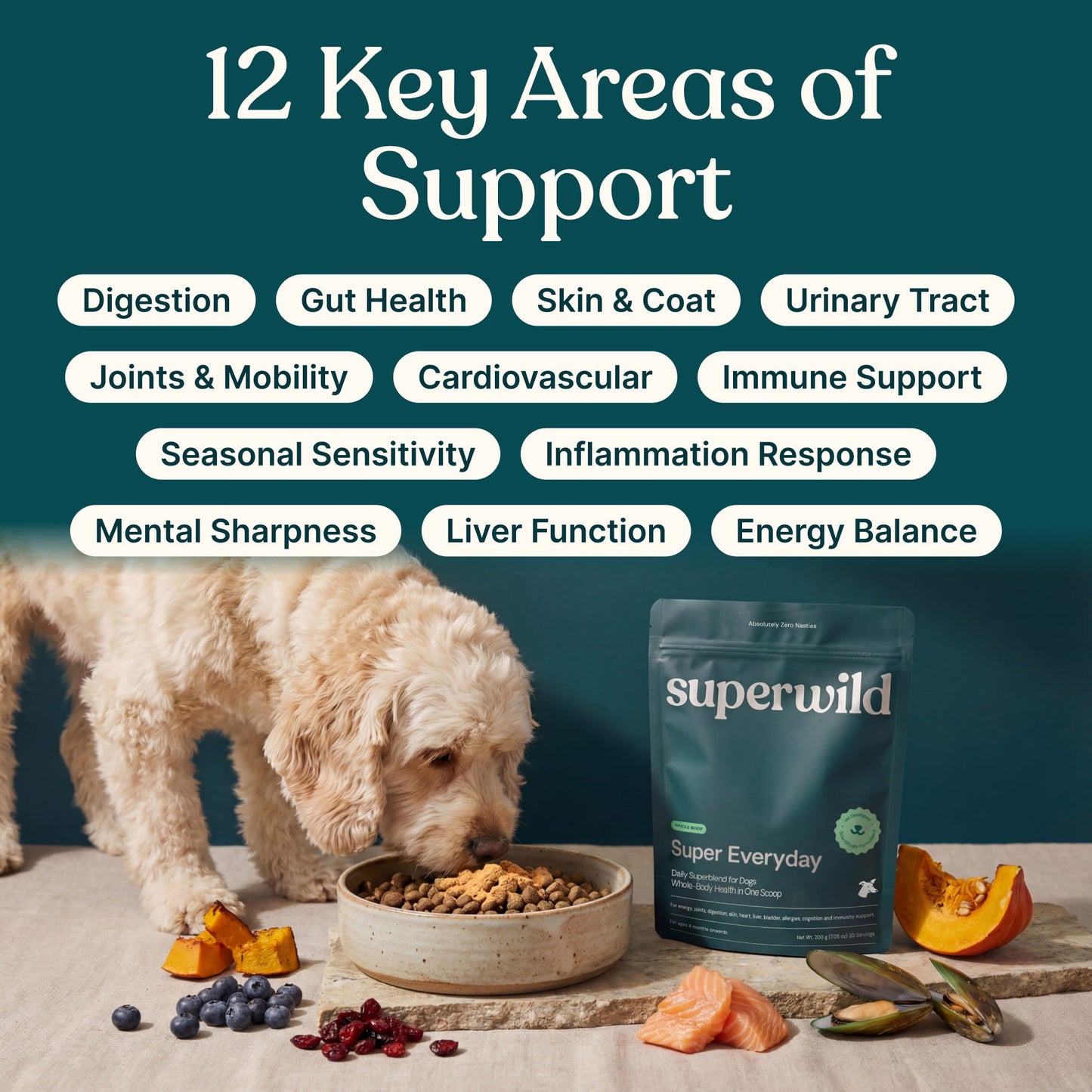 A dog eats from a bowl next to a stand-up pouch of superwild dog food on a stone surface, with fruits, vegetables, and blueberries around it. Large text at the top reads '12 Key Areas of Support' with a list of pet health areas