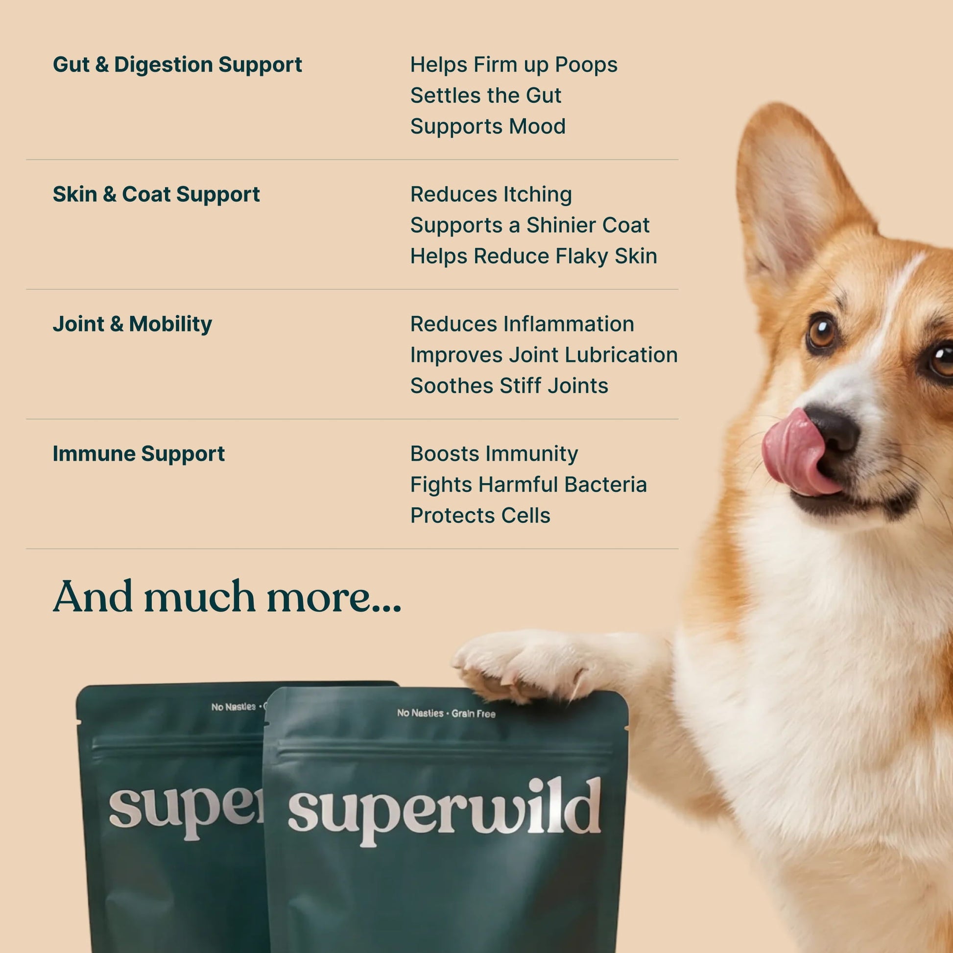 Two dark green Super Wild dog supplement pouches shown at the bottom, with text listing benefits for gut, skin, joint, and immune support. A corgi dog is pictured on the right against a warm beige background.