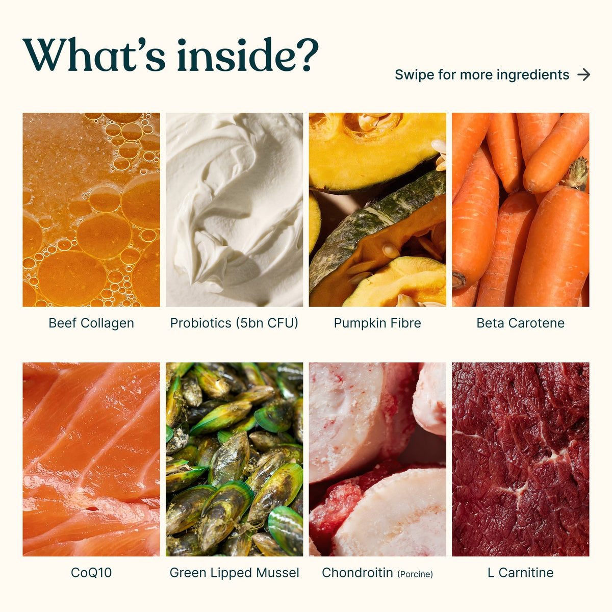 An informational ingredient graphic titled 'What's inside?' showing six ingredient panels with labels: Beef Collagen, Probiotics (5bn CFU), Pumpkin Fibre, Beta Carotene, CoQ10, Green Lipped Mussel, Chondroitin (Porcine), and L Carnitine. The top reads 'Swipe for more ingredients →'.