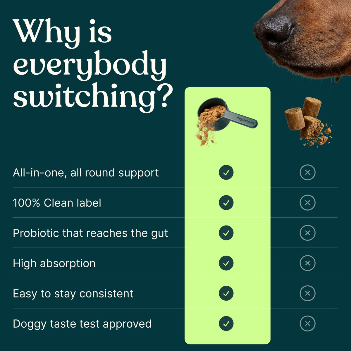 Promotional infographic for a dog supplement, featuring a dark teal background with white text reading 'Why is everybody switching?'. A vertical light green panel lists product benefits with checkmarks and crossed-out alternatives, alongside a scoop of brown powder and two kibble pieces.