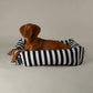 Dog lying on a black and white striped dog bed against a plain background