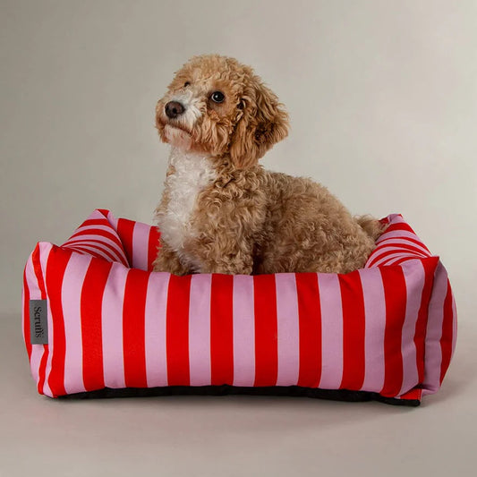 cockapoo in striped pink and red Scruffs Dog Bed