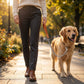 dog walking on chain lead