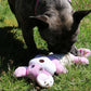 Dog playing with a pink plush toy on grass