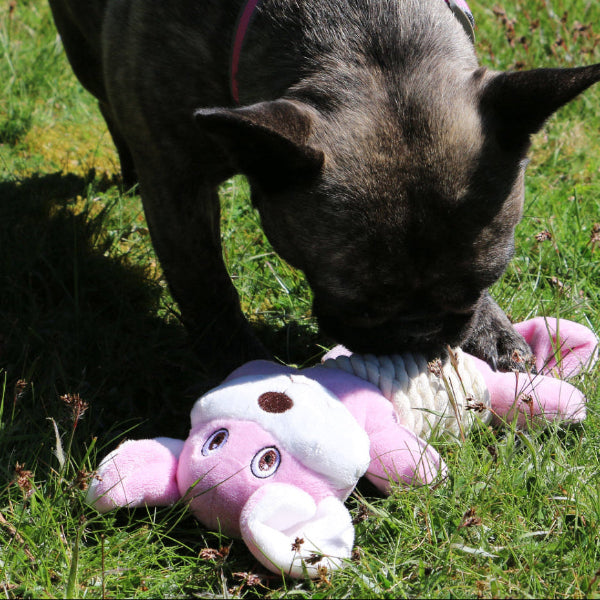 Dog playing with a pink plush toy on grass