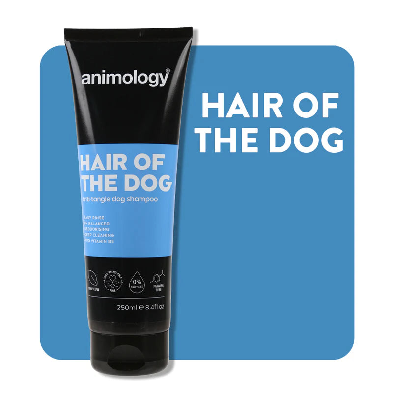 Tube of Animology 'Hair of the Dog' dog shampoo on a blue background